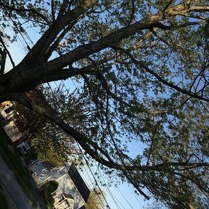 Meet your Posher, Paige